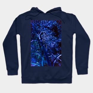 Blue Haunting Hoodie